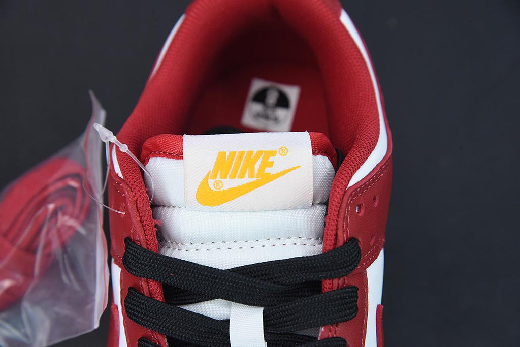 Nike Dunk Low Gym Red  SB