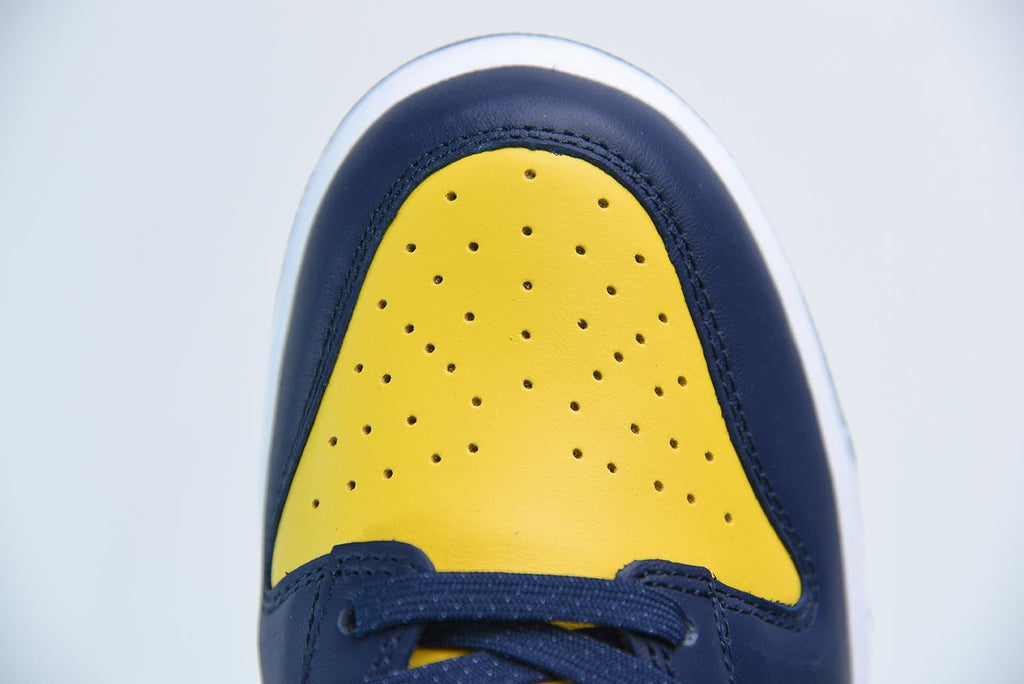 Nike Dunk Low Michigan
