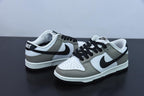Nike Dunk Low SB gray white