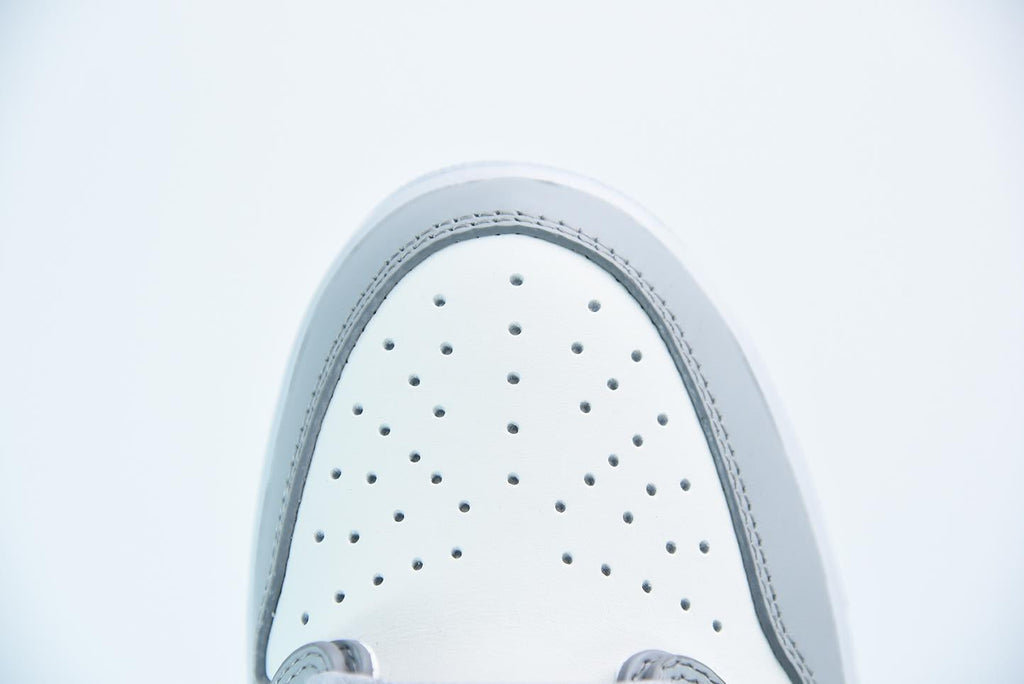 Nike Air Jordan 1 Low DIOR