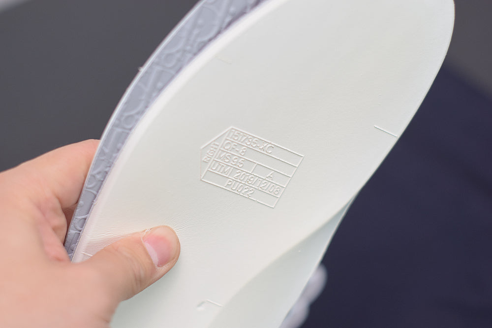 Nike Air Jordan 1 High DIOR