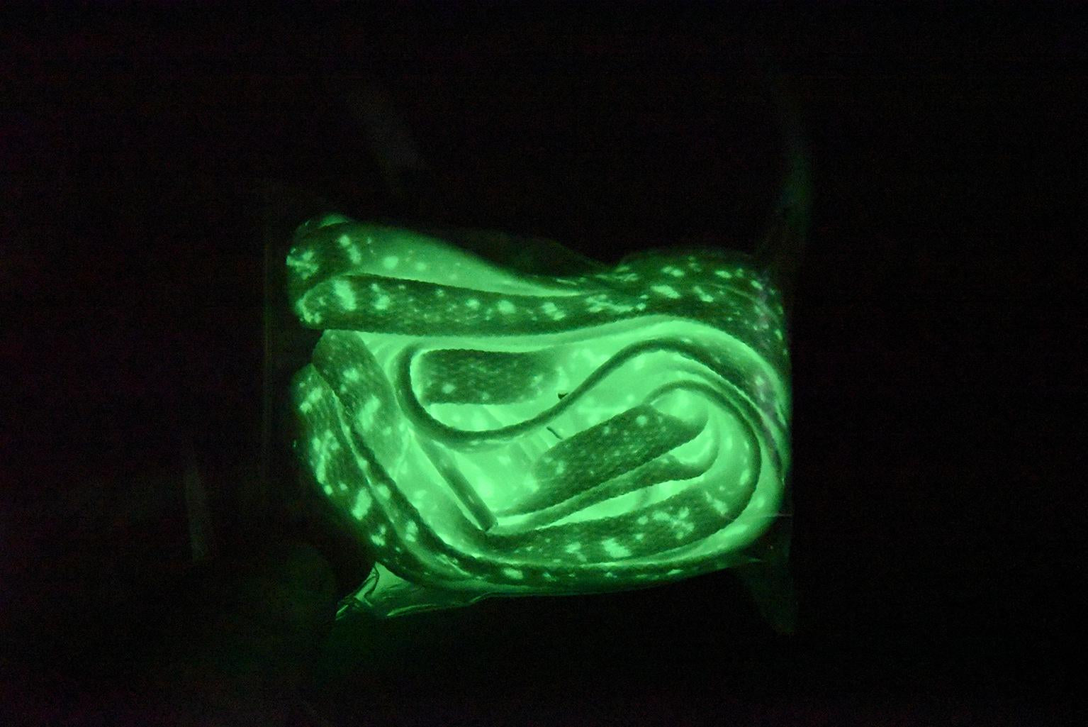 Nike Air Force 1 Skeleton Purple