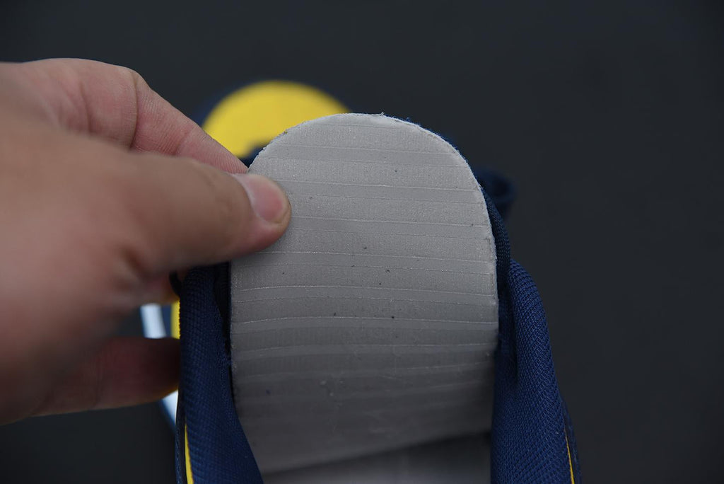 Nike Dunk Low Michigan