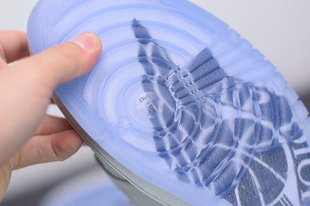 Nike Air Jordan 1 High DIOR