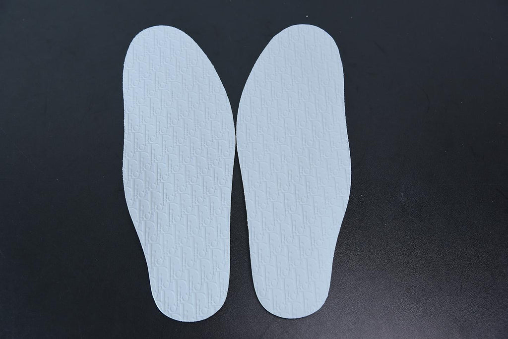 Nike Air Jordan 1 Low DIOR