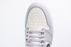 Nike Air Jordan 1 High DIOR