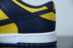 Nike Dunk Low Michigan