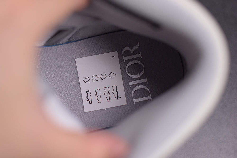 Nike Air Jordan 1 High DIOR