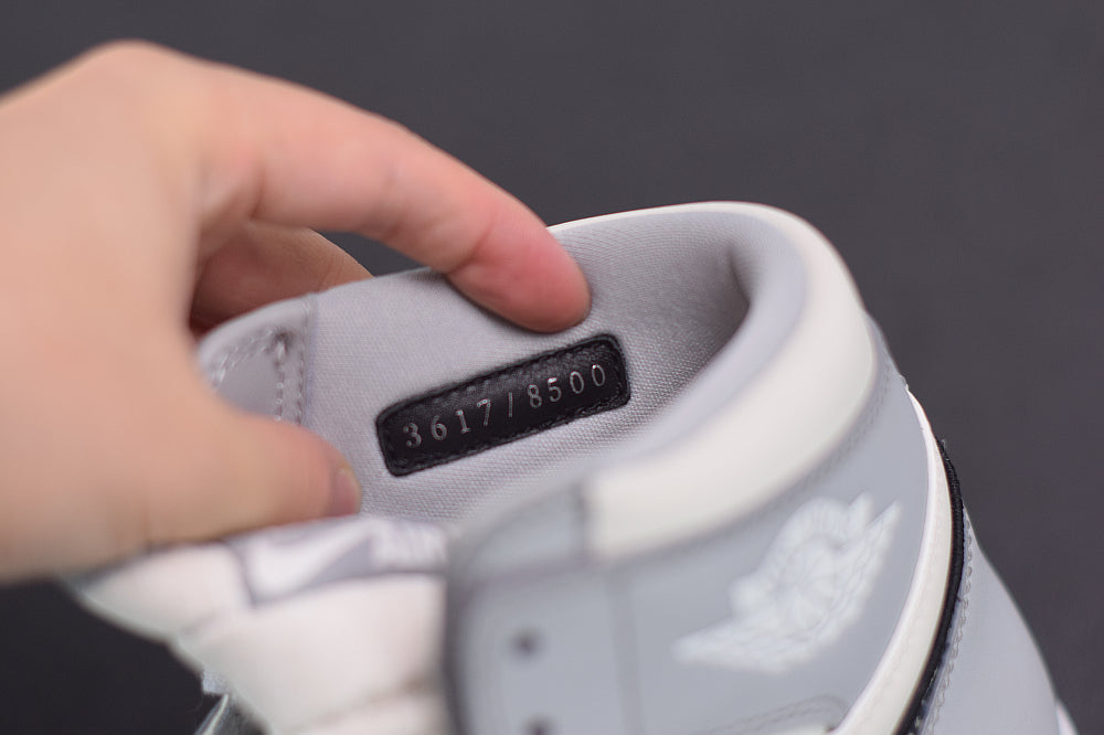 Nike Air Jordan 1 High DIOR