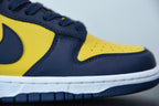Nike Dunk Low Michigan
