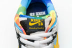 Ben & Jerry's x Nike SB Dunk Low Chunky Dunky