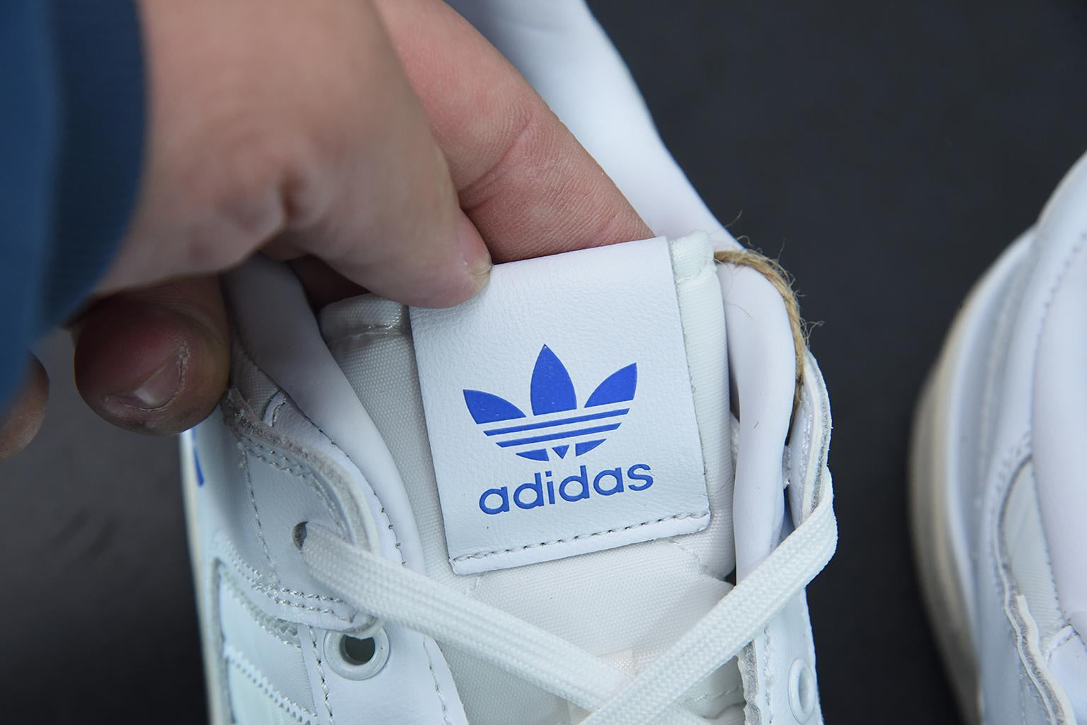 Adidas Forum 84 Low Blue Bird