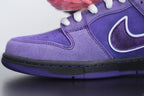 Nike Dunk Low Purple Lobster