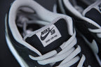 Nike Dunk Low SB J-Pack Shadow